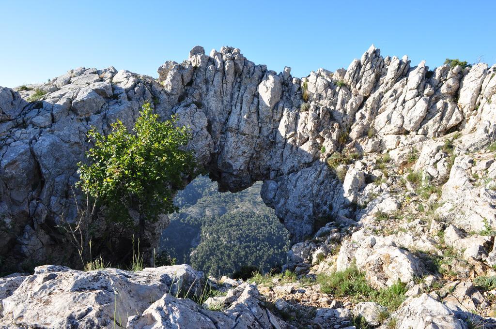 Camping Alberg Municipal Tivissa Exterior foto